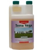 canna-terra-vega1l.jpg